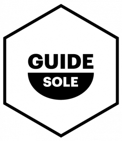 GuideSole